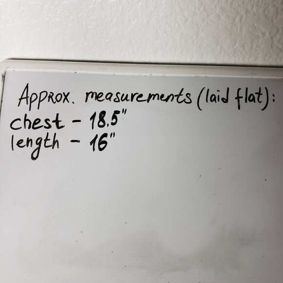 NWOT American Eagle AE Cropped Corset Balloon Sleeve Top Smocked Back Green sz L - Picture 10 of 15